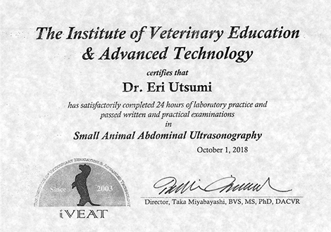 The Institute of Veterinary Education & Advanced Technology