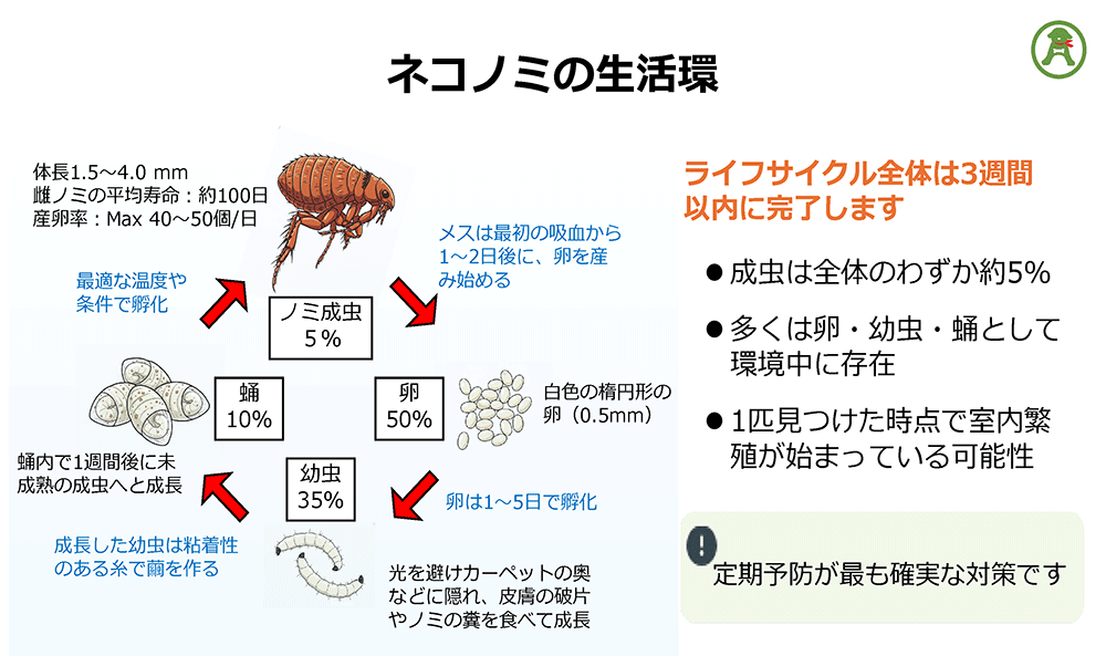 図：ネコノミの生活環