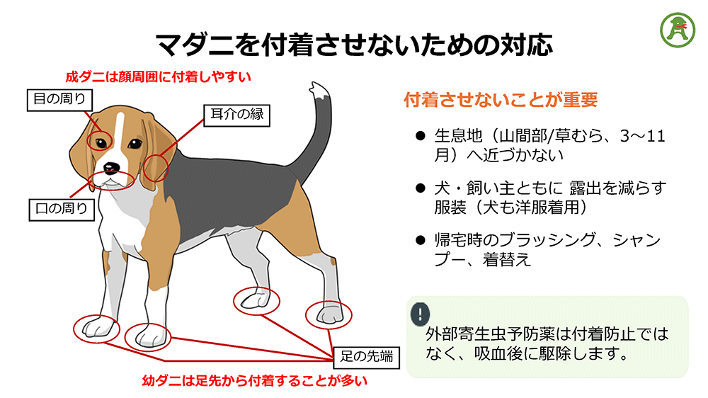 図：マダニを付着させないための対応