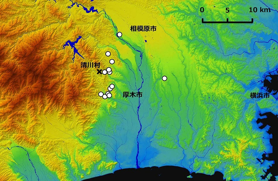 東洋眼虫症と診断された犬13例の地理的分布を示す地図